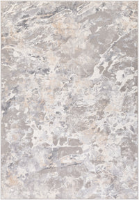 Surya Perception Pcp-2303 Taupe, Light Gray, Charcoal, White Area Rug