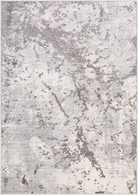 Surya Perception Pcp-2304 Taupe, Light Gray, Charcoal, White Area Rug