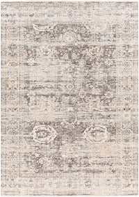 Surya Presidential Pdt-2324 Charcoal, Medium Gray, Light Gray, Beige Area Rug