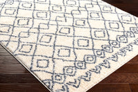 Surya Puffy Shag Pfy-2301 Beige Area Rug