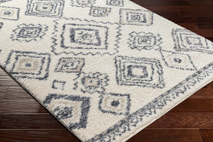 Surya Puffy Shag Pfy-2302 Beige Area Rug