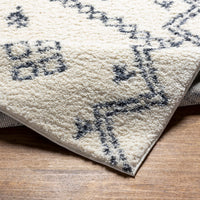 Surya Puffy Shag Pfy-2303 Beige Area Rug