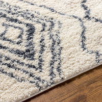 Surya Puffy Shag Pfy-2304 Beige Area Rug