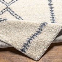 Surya Puffy Shag Pfy-2305 Beige Area Rug