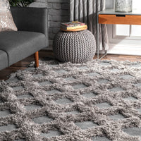 Nuloom Francene Trellis Nfr1462E Silver Area Rug