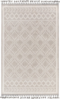 Surya Palermo Plr-2300 Grey Area Rug