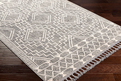 Surya Palermo Plr-2304 Grey Area Rug