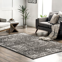 Nuloom Arlena Traditional Nar1505C Charcoal Area Rug