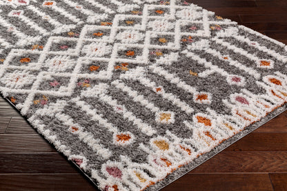 Surya Polaris Pri-2300 Grey Area Rug