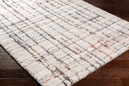 Surya Polaris Pri-2304 Beige Area Rug