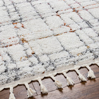 Surya Polaris Pri-2304 Beige Area Rug