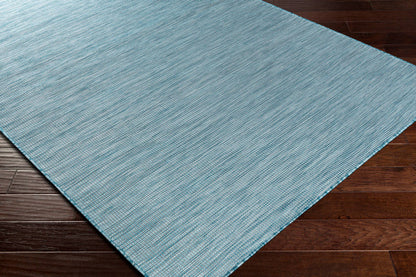 Surya Pasadena Psa-2311 Teal, Aqua Area Rug