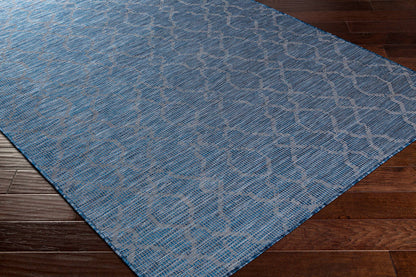 Surya Pasadena Psa-2333 Navy, Denim Area Rug