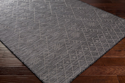 Surya Pasadena Psa-2362 Charcoal, Black Area Rug