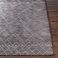 Surya Pasadena Psa-2362 Charcoal, Black Area Rug