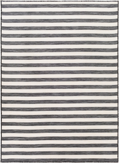 Surya Pasadena Psa-2382 Charcoal, Cream Area Rug