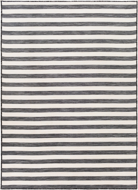 Surya Pasadena Psa-2382 Charcoal, Cream Area Rug