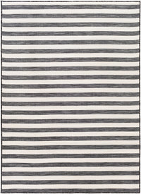 Surya Pasadena Psa-2382 Charcoal, Cream Area Rug