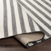 Surya Pasadena Psa-2382 Charcoal, Cream Area Rug