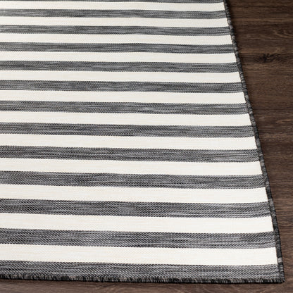 Surya Pasadena Psa-2382 Charcoal, Cream Area Rug