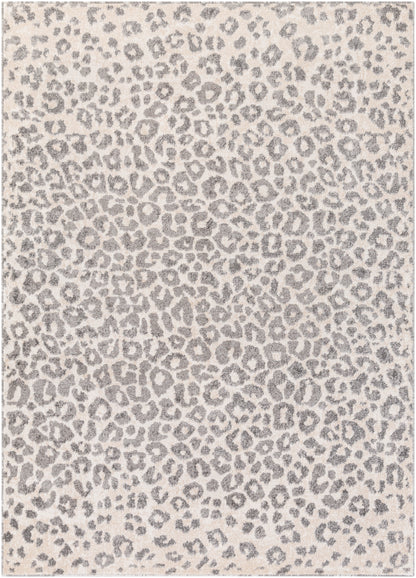 Surya Positano Psn-2305 Charcoal, Medium Gray, Light Gray, Ivory Area Rug