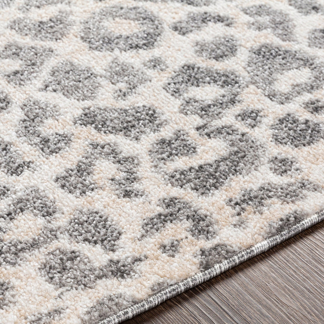 Surya Positano Psn-2305 Charcoal, Medium Gray, Light Gray, Ivory Rugs.