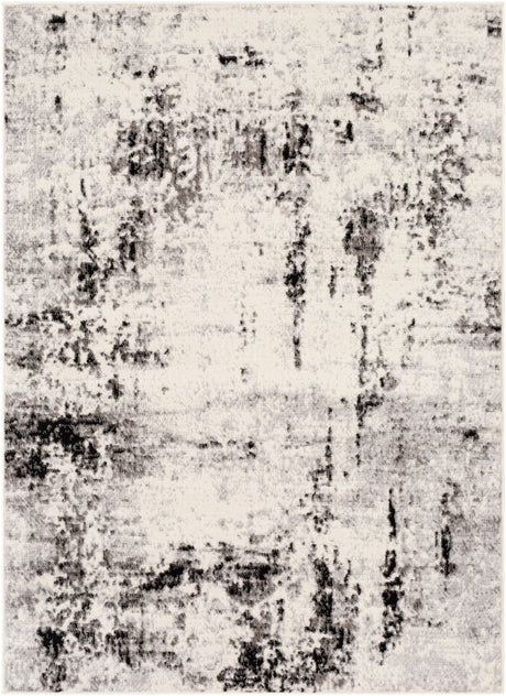 Surya Pisa Pss-2303 Medium Gray, Black, Ivory, Light Gray Rugs.