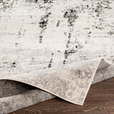 Surya Pisa Pss-2303 Medium Gray, Black, Ivory, Light Gray Rugs.