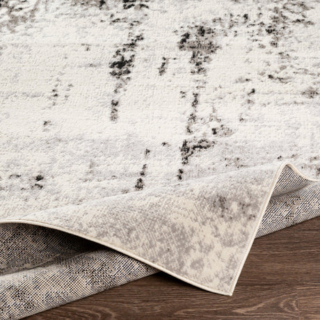Surya Pisa Pss-2303 Medium Gray, Black, Ivory, Light Gray Rugs.
