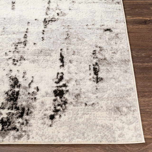 Surya Pisa Pss-2303 Medium Gray, Black, Ivory, Light Gray Rugs.
