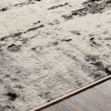 Surya Pisa Pss-2303 Medium Gray, Black, Ivory, Light Gray Rugs.