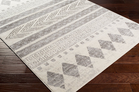 Surya Pisa Pss-2306 Medium Gray, Light Gray, Ivory Rugs.