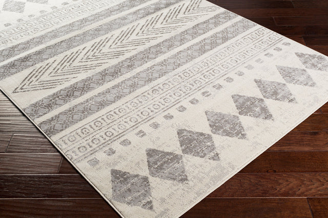 Surya Pisa Pss-2306 Medium Gray, Light Gray, Ivory Rugs.