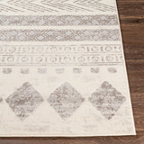 Surya Pisa Pss-2306 Medium Gray, Light Gray, Ivory Rugs.