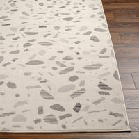 Surya Pisa Pss-2349 Beige Area Rug