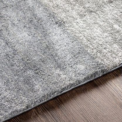 Surya Portofino Ptf-2306 Gray Area Rug