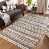 Surya Petra Ptr-2300 Charcoal, Medium Gray, Light Gray, Tan Rugs.