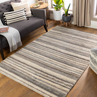 Surya Petra Ptr-2300 Charcoal, Medium Gray, Light Gray, Tan Area Rug