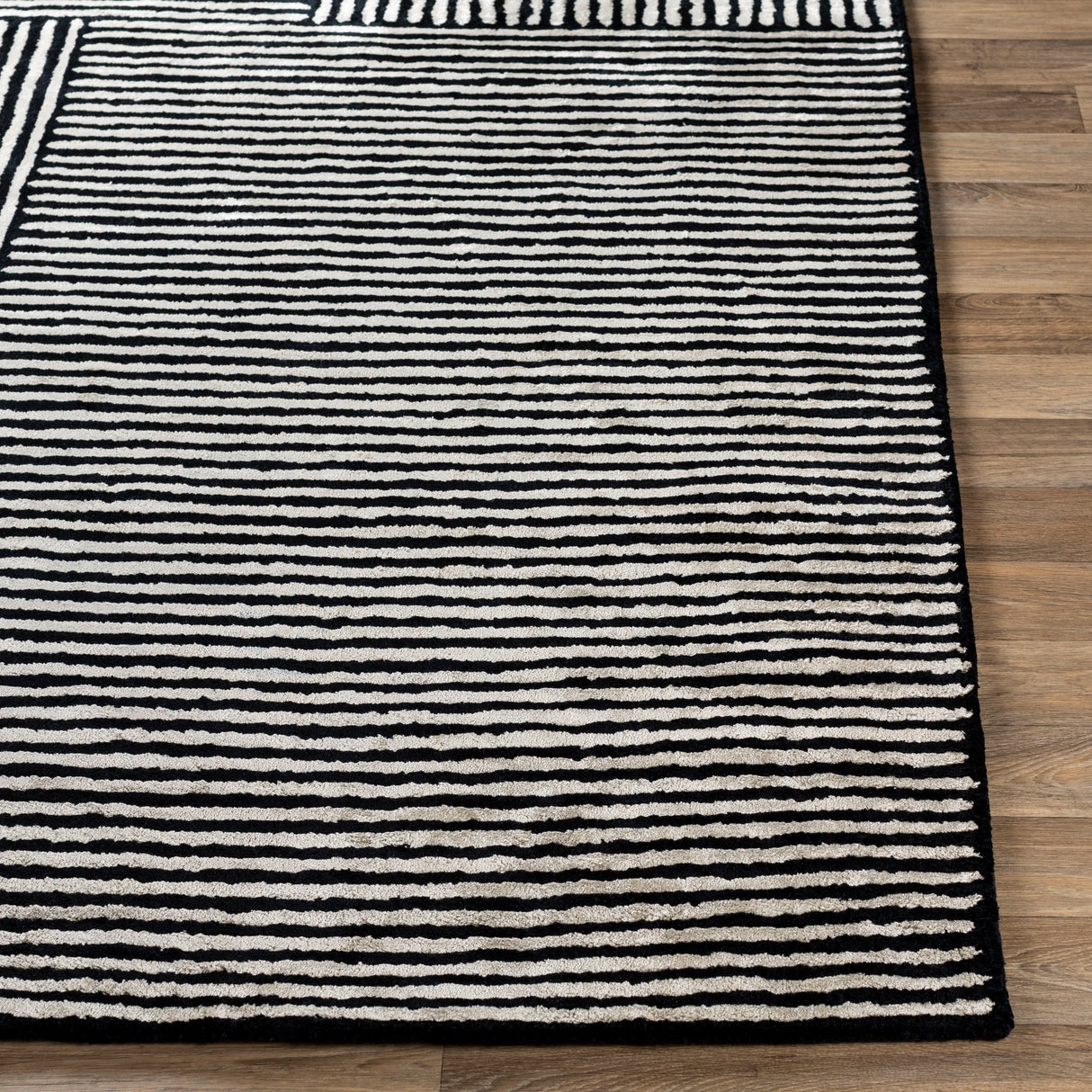 Surya Quartz Qtz-5037 Black, Ivory Rugs.