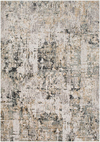 Surya Quatro Qua-2300 Medium Gray, Silver Gray, Charcoal Organic / Abstract Area Rug