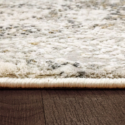 Dynamic Quartz 27061 Ivory / Grey Area Rug