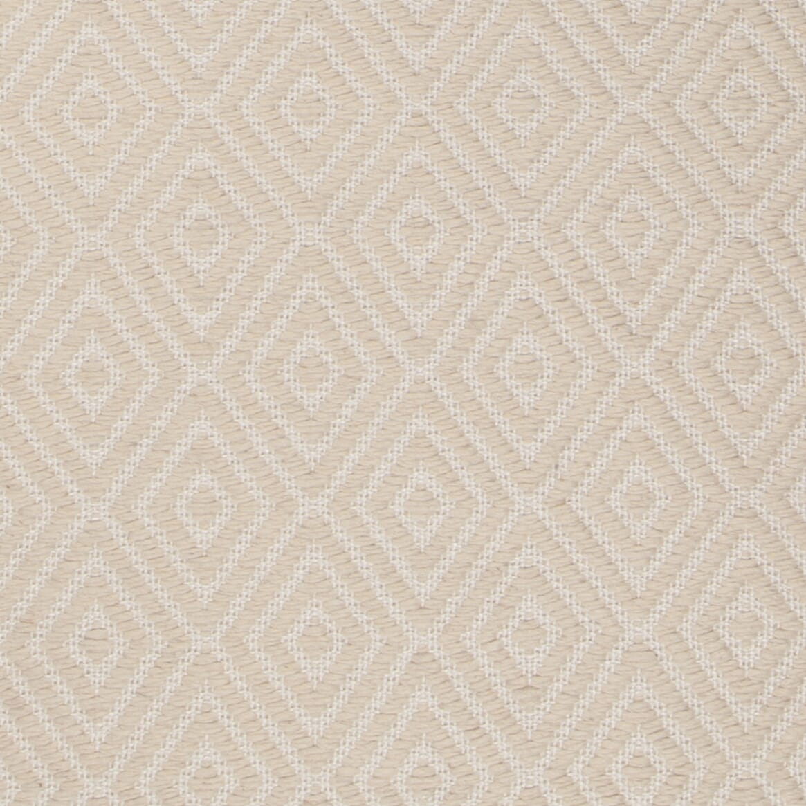 Chandra Raven Rav-47401 Ivory Area Rug