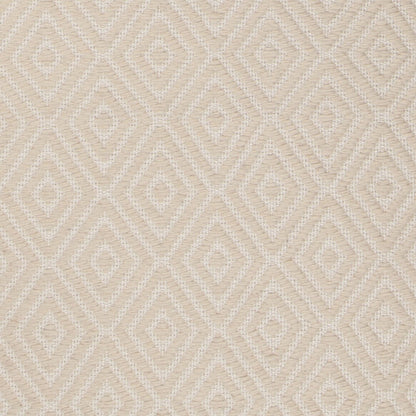 Chandra Raven Rav-47401 Ivory Area Rug