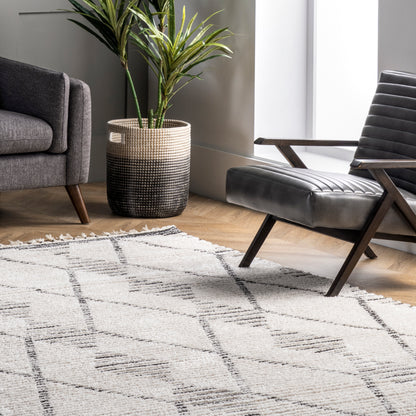 Nuloom Feodora Plush Nfe3037A Beige Area Rug