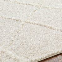 Surya Rodos Rdo-2301 Beige Area Rug