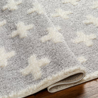 Surya Rodos Rdo-2306 Grey Area Rug