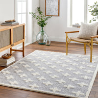 Surya Rodos Rdo-2306 Grey Area Rug