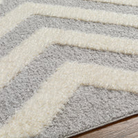 Surya Rodos Rdo-2310 Grey Area Rug