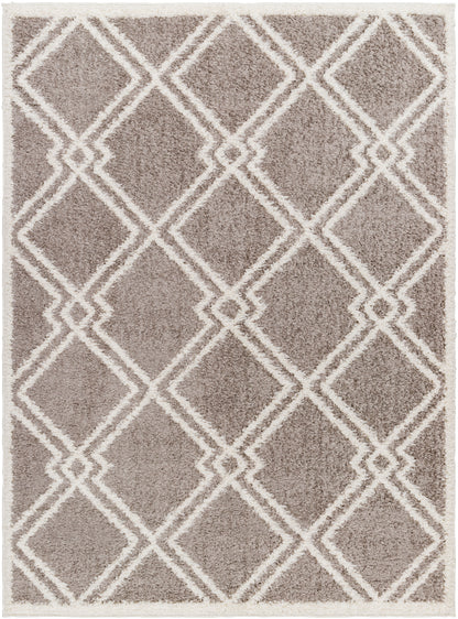 Surya Rodos Rdo-2313 Brown Area Rug