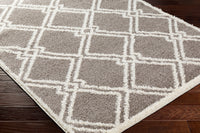 Surya Rodos Rdo-2313 Brown Area Rug